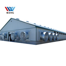 Steel Structure Construction Design  Poultry Farming For Pig Shed
